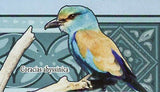 Birds Stamp Amadina Fasciata Lagonosticta Senegala Aquila Ayresii S/S MNH #6418