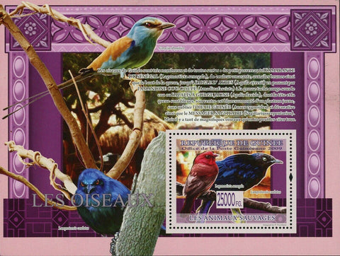 Birds Stamp Lagonosticta Senegala Lamprotornis Caudatus Coracias Abyssinica S/S