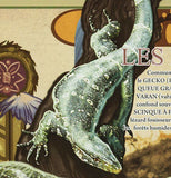 Lizards Stamp Agama Agama Varanus Exanthematicus Varanus Niloticus S/S MNH #6416