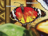 Butterflies Stamp Danaus Chrysippus Colitis Aurora Evarne  Insect S/S MNH #6374