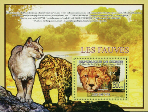 Wild Animal Stamp Acinonyx Jubatus Panthera Pardus Pardus Profelis Aurata Lion