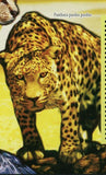 Wild Animal Stamp Acinonyx Jubatus Panthera Pardus Pardus Profelis Aurata Lion