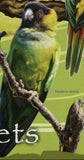 Parrots Stamp Bird Spencer Fullerton Baird Nandayus Nenday S/S MNH #5547