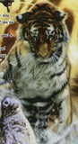 Tigers Stamp Panthera Tigris George Clemenceau Eurocopter EC-665 Helicopter S/S