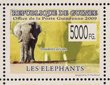 Elephants Stamp Loxodonta Africana Loxodonta Cyclotis Wild Animal S/S MNH #6463