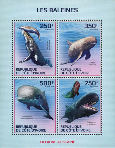 Whale Stamp Feresa Attenuata Pseudorca Crassidens Megaptera Novaeangliae S/S MNH