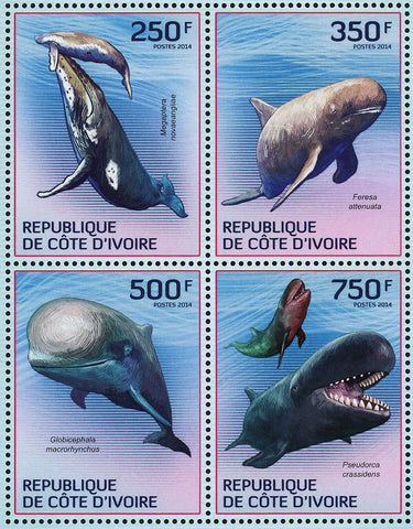 Whale Stamp Feresa Attenuata Pseudorca Crassidens Megaptera Novaeangliae S/S MNH