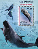 Whales Stamp Pseudorca Crassidens Physeter Macrocephalus Megaptera S/S MNH