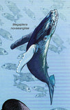 Whales Stamp Pseudorca Crassidens Physeter Macrocephalus Megaptera S/S MNH