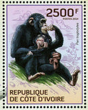Primates Stamp Pan Troglodytes Wild Animal African Fauna S/S MNH #1618 / Bl.210