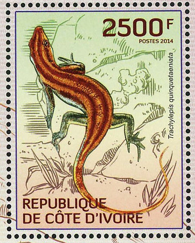 Snakes Lizards Stamps Trachylepis Quinquetaeniata Juvenile S/S MNH #1533/Bl.193