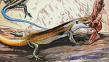 Snakes Lizards Stamps Trachylepis Quinquetaeniata Juvenile S/S MNH #1533/Bl.193