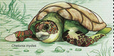 Turtles Stamp Chelonia Mydas Dermochelys Coriacea S/S MNH #1528 / Bl.192