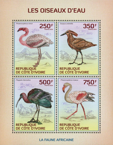 Water Birds Stamp Scopus Umbretta Phoenicopterus Minor Plegadis Falcinellus S/S