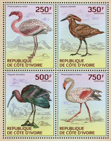 Water Birds Stamp Scopus Umbretta Phoenicopterus Minor Plegadis Falcinellus S/S