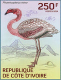 Water Birds Stamp Scopus Umbretta Phoenicopterus Minor Plegadis Falcinellus S/S