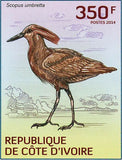 Water Birds Stamp Scopus Umbretta Phoenicopterus Minor Plegadis Falcinellus S/S
