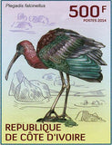 Water Birds Stamp Scopus Umbretta Phoenicopterus Minor Plegadis Falcinellus S/S
