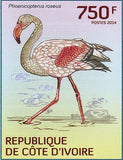 Water Birds Stamp Scopus Umbretta Phoenicopterus Minor Plegadis Falcinellus S/S