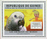 Parrots Stamp Bird Poicephalus Meyeri Poicephalus Rufiventris S/S MNH #8888-8890