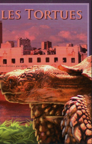 Turtles Stamp Astrochelys Radiata Geochelene Pardalis S/S MNH #8304-8307