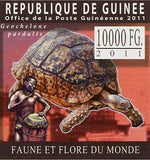 Turtles Stamp Astrochelys Radiata Geochelene Pardalis S/S MNH #8304-8307