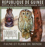 Owls Stamp Bird Bubo Poensis Ptilopsis Granti Strix Aluco S/S MNH #8309-8312
