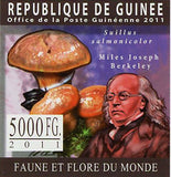 Mushrooms Stamp Carl Linnaeus Clathrus Ruber Miles Joseph Berkeley S/S MNH