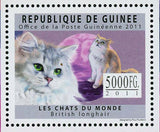 Cats Stamp British Longhair Khao Manee Maine Coon S/S MNH #8903-8905