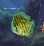 Exotic Fish Stamp Pterophyllum Scalare Poecilia Reticulata Pygocentrus Nattereri