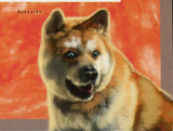 Dogs Stamp Alaskan Malamute Berger De Brie Hokkaido S/S MNH #8912-8914