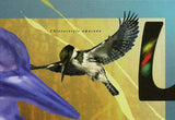 Kingfishers Bird Stamp Ceyx Erithaca Todiramphus Sanctus Alcedo Atthis S/S MNH