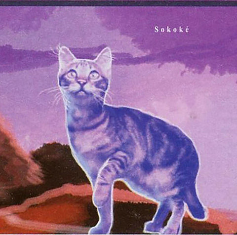 Cats Stamp Nebelung Ocicat Singapura Sokoke Toyger S/S MNH #8906-8908