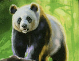 Pandas Stamp Wild Animal Ailuropoda Melanoleuca S/S MNH #8900-8902