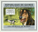 Dogs Stamp Caravan Hound Chart Polski Komondor Griffon Bruxellois S/S MNH #8909