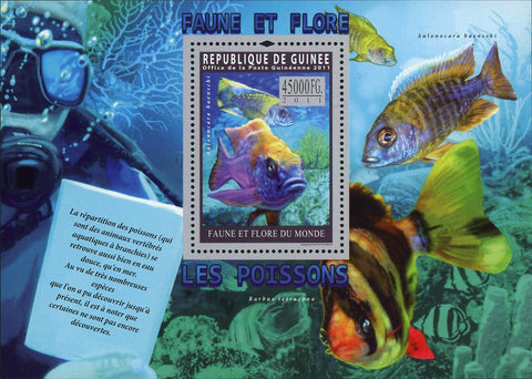 Fish Stamp Barbus Tetrazona Aulonocara Baenschi S/S MNH #8298 / Bl.1940