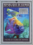 Fish Stamp Barbus Tetrazona Aulonocara Baenschi S/S MNH #8298 / Bl.1940
