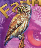 Owls Stamp Bird Otus Scop Ptilopsis Granti Athene Noctua S/S MNH #8313 / Bl.1943