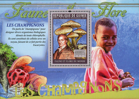 Mushrooms Stamp Armillaria Gallica Agustin Pyrame de Candolle S/S MNH #8273