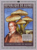 Mushrooms Stamp Armillaria Gallica Agustin Pyrame de Candolle S/S MNH #8273