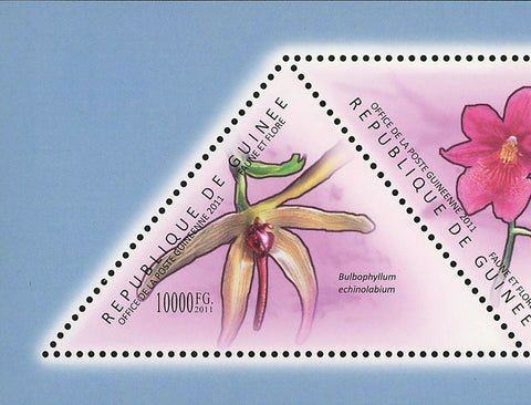 Orchids Stamp Bulbophyllum Echinolabium Paphiopedilum Maudiae S/S MNH #8538-8542