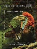 Birds Stamp Trigonoceps Occipitalis Picathartes Gymnocephalus Ceratogymna MNH