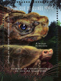 Birds Turtle Stamp Kinixys Homeana Bycanistes Cylindricus Lasser Kestrel S/S MNH