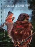 Birds Turtle Stamp Kinixys Homeana Bycanistes Cylindricus Lasser Kestrel S/S MNH