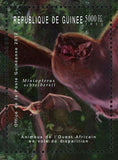 Bat Lizard Bird Stamp Kassina Cochranae Genetta Burloni Miniopterus S/S MNH