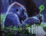 Wild Animals Stamp Gorilla Gorilla West African Fauna Endangered S/S MNH #9186
