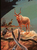 Wild Animals Stamp Addax Nasomaculatus Tragelaphus Eurycerus S/S MNH #9199