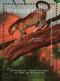 Leopard Stamp Wild Animal Panthera Pardus African Fauna S/S MNH #9196 / Bl.2085