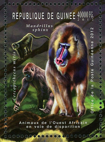 Wild Animal Stamp Mandrillus Sphinx Cercopithecus Mitis Gorilla Gorilla S/S MNH