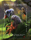 Bird Stamp Parrot Psittacus Erithacus Erithacus African Fauna S/S MNH #9187